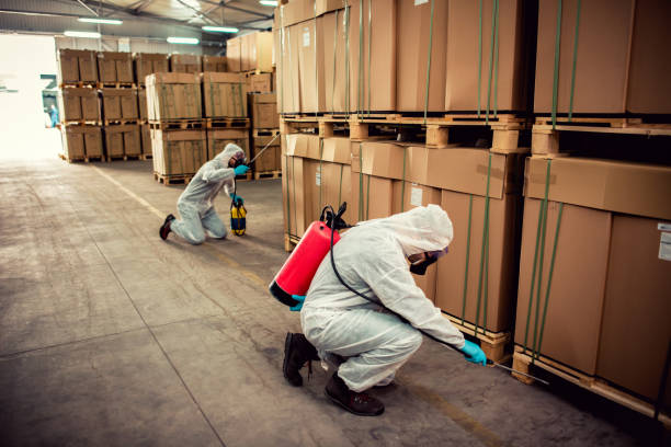 Best Wildlife Control Services  in Hubbard, OH