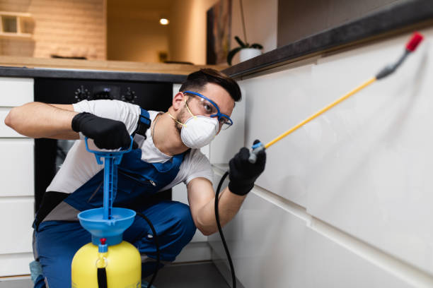Trusted Hubbard, OH Pest Control Experts