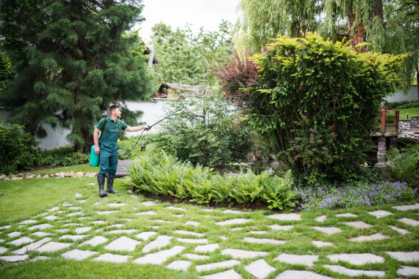 Best Affordable Pest Control Services  in Hubbard, OH