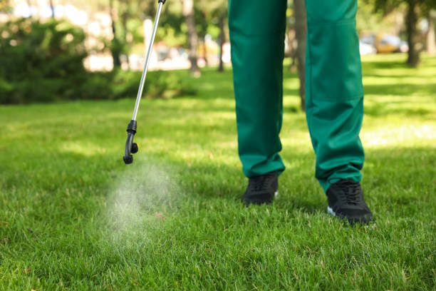 Best Exterminator Services  in Hubbard, OH