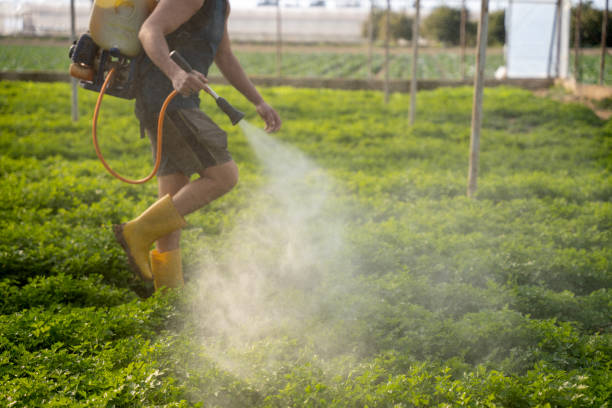 Best Pest Removal Services  in Hubbard, OH