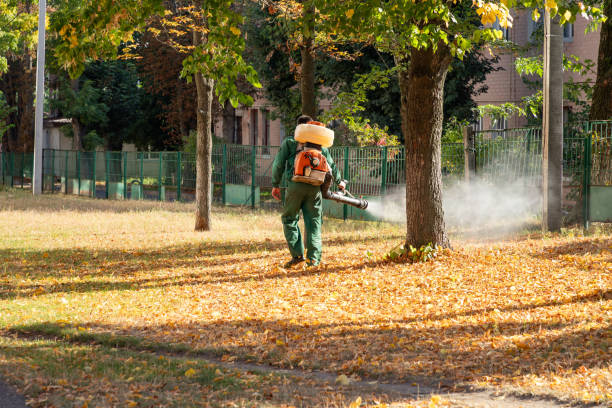 Best Wasp Removal Services  in Hubbard, OH