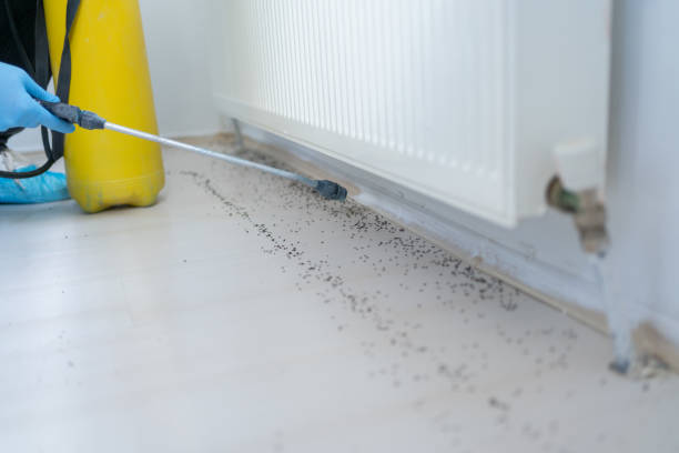 Best Pest Prevention Services  in Hubbard, OH