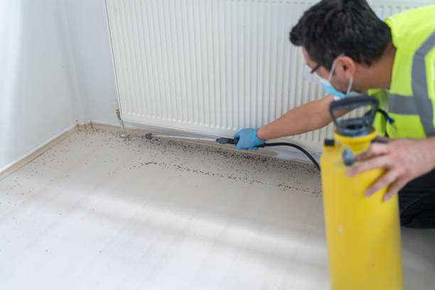 Best Best Pest Control Companies  in Hubbard, OH
