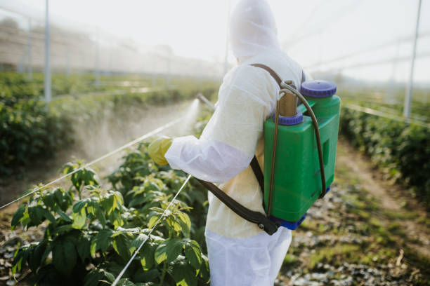 Best Pest Inspection Near Me  in Hubbard, OH